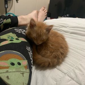 Meet your Posher, Christopher